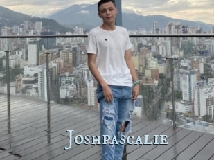 Joshpascalie