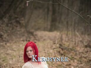 Kerosynee