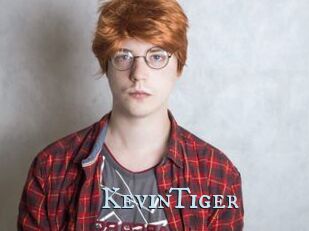 KevinTiger