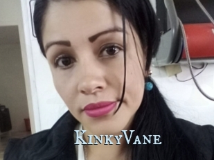 KinkyVane