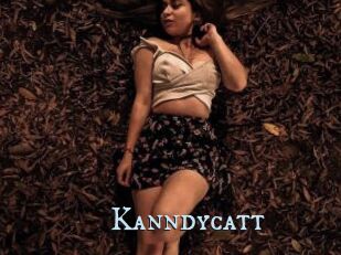 Kanndycatt