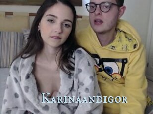Karinaandigor