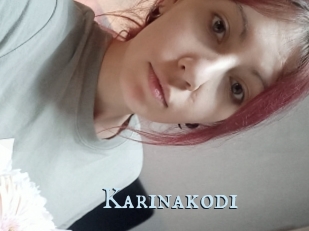 Karinakodi