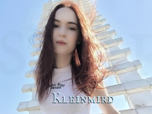 Kleinmird