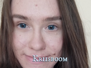 Kriisboom