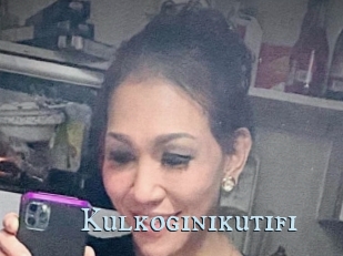 Kulkoginikutifi