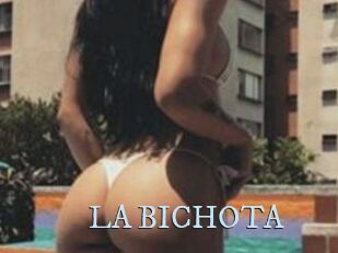 LA_BICHOTA