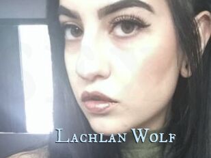 Lachlan_Wolf