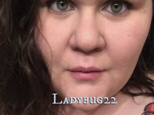 Ladybug22