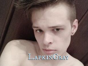 LapkinGray