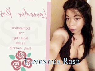 Lavender_Rose