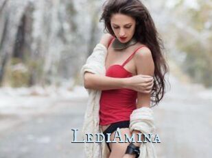 LediAmina