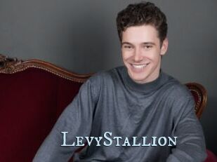 LevyStallion
