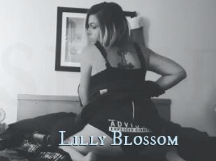 Lilly_Blossom
