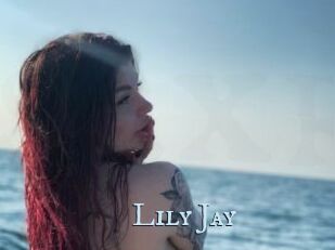 Lily_Jay