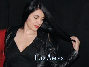 LizAmes
