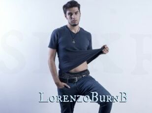 LorenzoBurnB