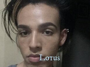 Lotus