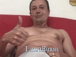LuigiBurns