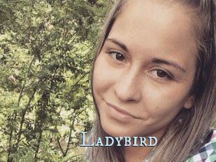 Ladybird