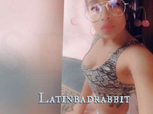 Latinbadrabbit