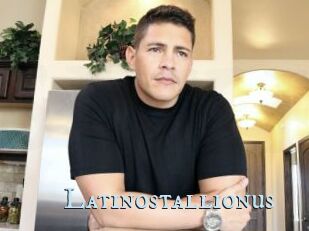 Latinostallionus
