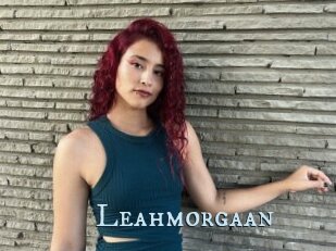 Leahmorgaan