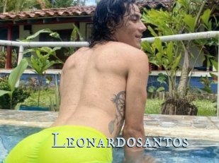 Leonardosantos
