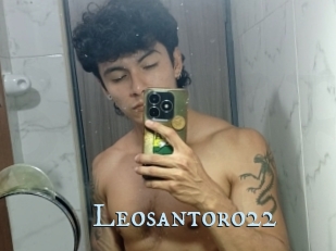 Leosantoro22