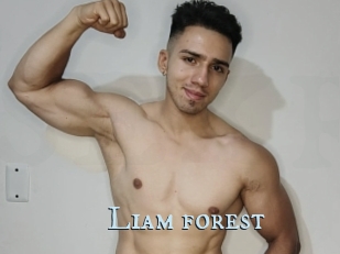 Liam_forest
