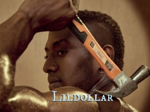 Lildollar