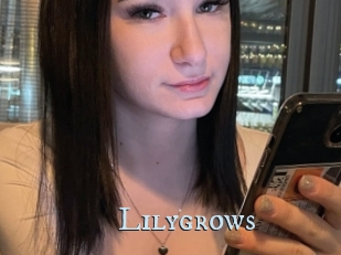 Lilygrows