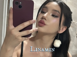 Linamin