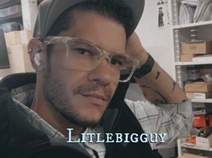 Litlebigguy