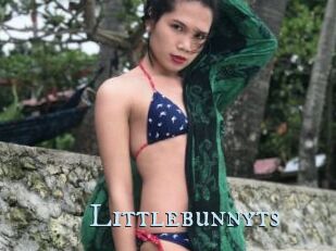 Littlebunnyts