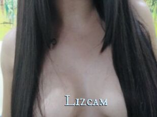 Lizcam