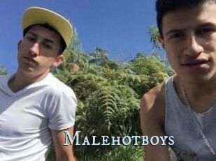 Malehotboys