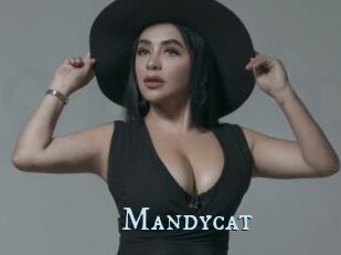 Mandycat