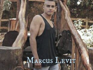 Marcus_Levit