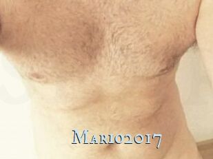 Mario2017