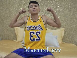 MartinLevy