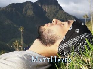MattHayes