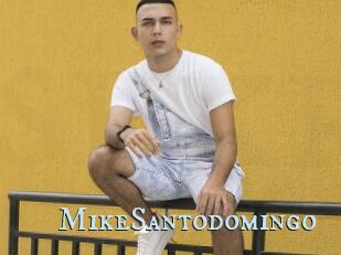 MikeSantodomingo