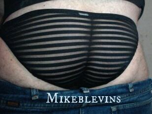 Mikeblevins