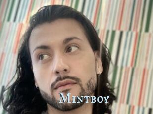 Mintboy