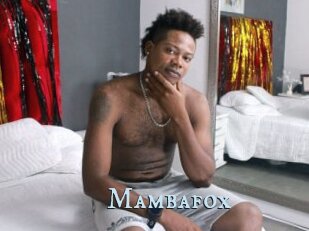 Mambafox