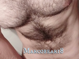 Marcobear18