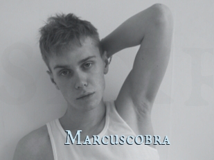 Marcuscobra