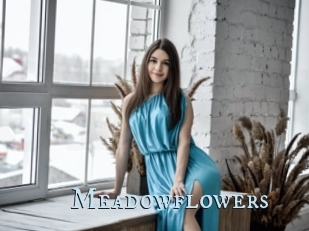 Meadowflowers