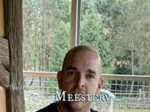 Meesterv